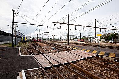 《动物园之星》干燥气候区动物包将于6月20日推出